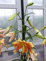 Foto: Dr. Peter Müller